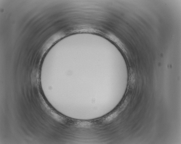 X0000080711282200701051000