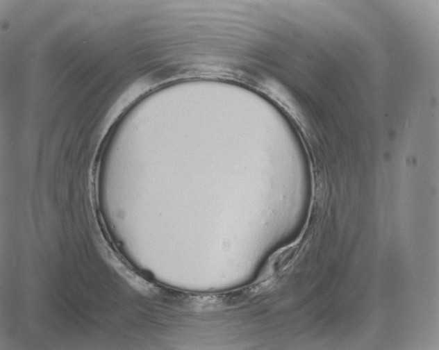 X0000080711283200701051000