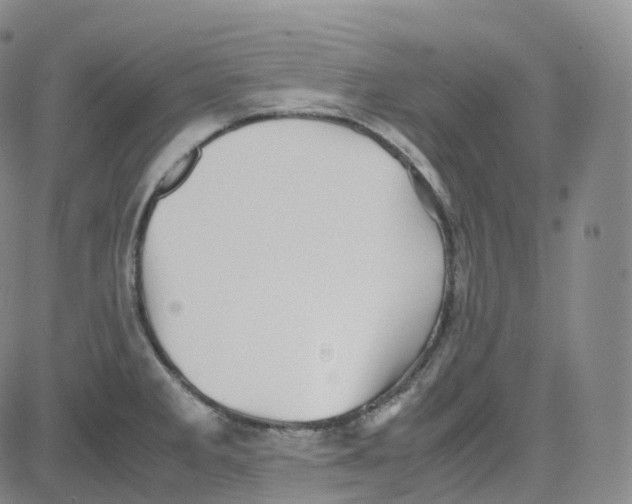 X0000080711285200701051000