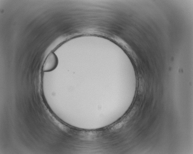 X0000080711286200701051000