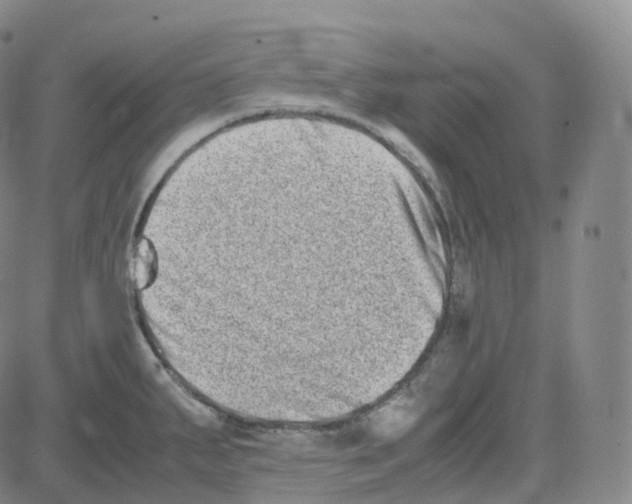 X0000080711287200701051000