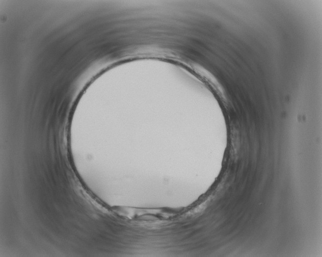 X0000080711288200701051000