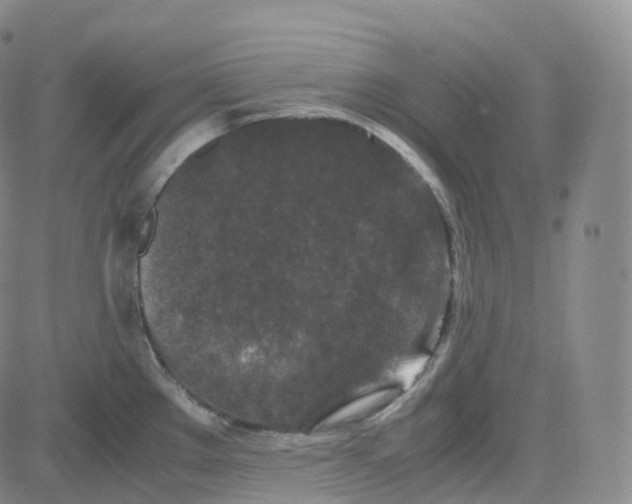 X0000080711289200701051000