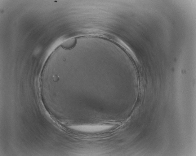 X0000080711291200701051000