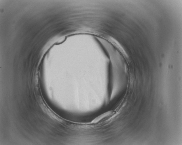 X0000080711292200701051000