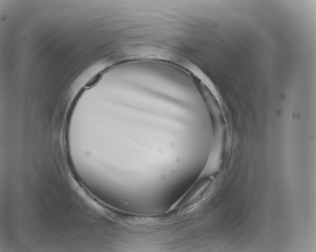 X0000080711293200701051000