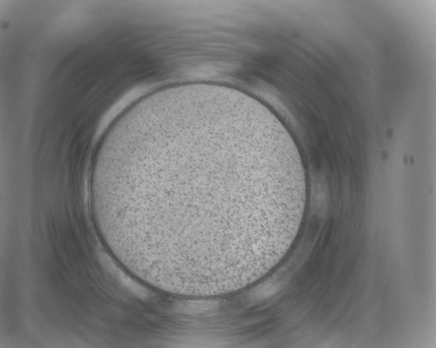 X0000080711294200701051000