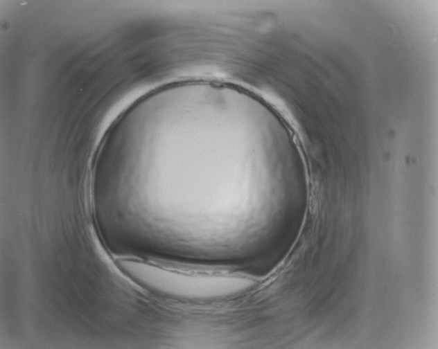 X0000080711295200701051000