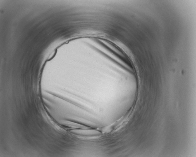 X0000080711296200701051000