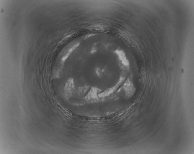 X0000080711297200701050959