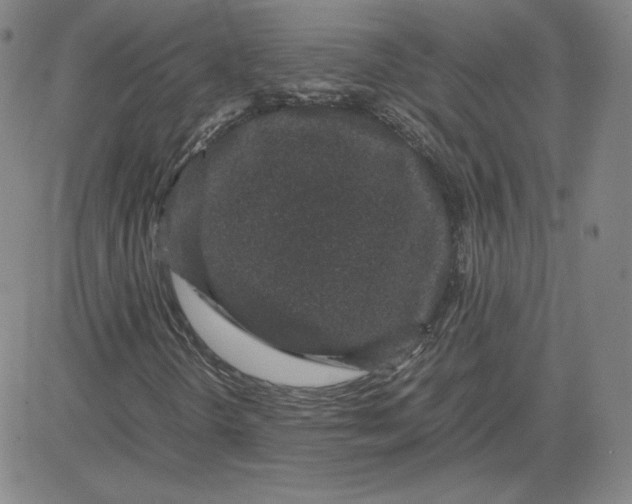 X0000080711298200701050959