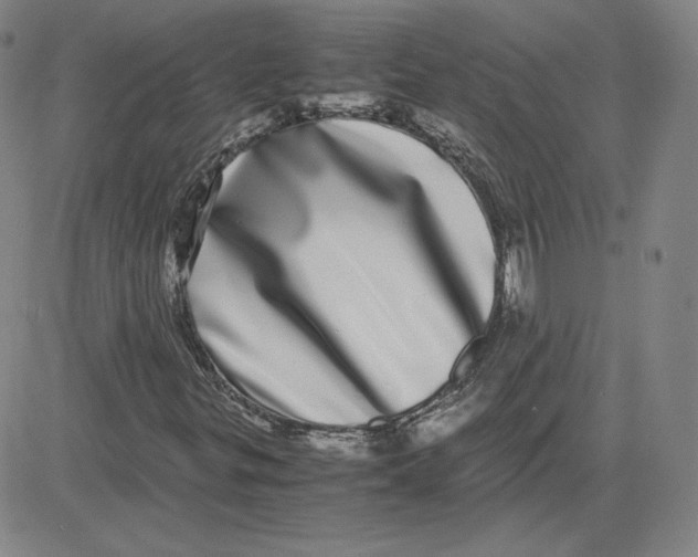 X0000080711299200701050959