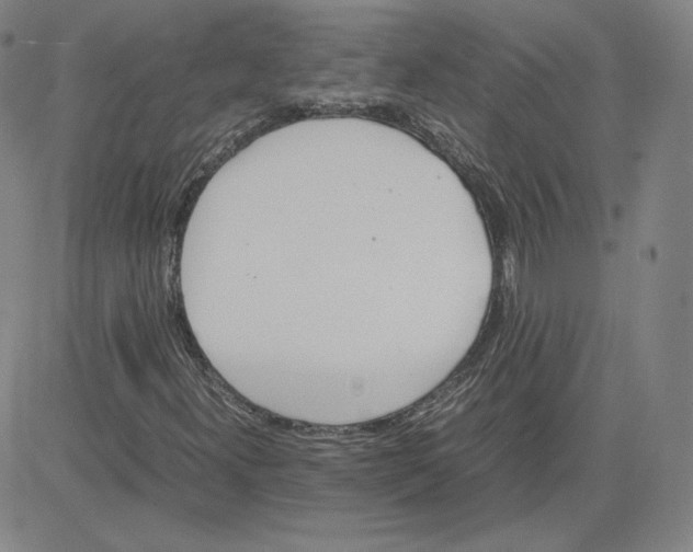 X0000080711300200701050959