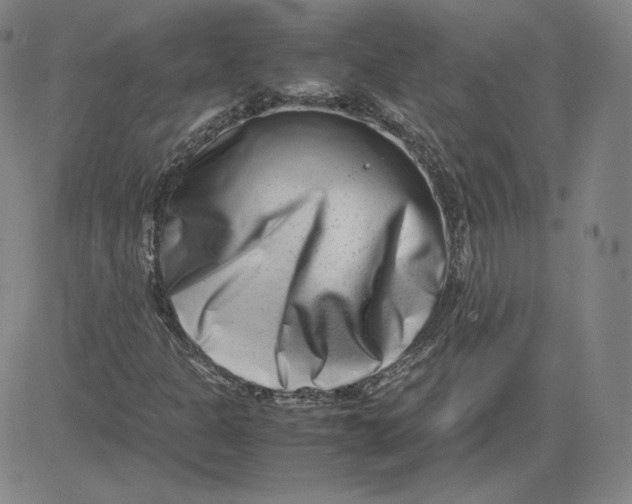 X0000080711301200701050959