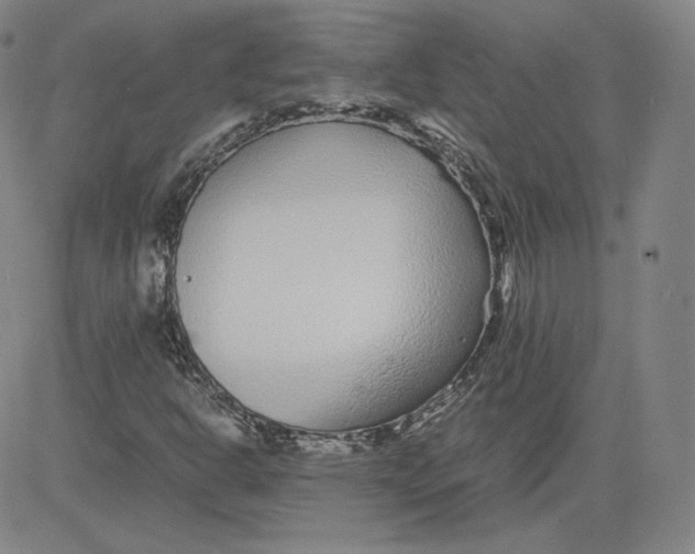 X0000080711302200701050959