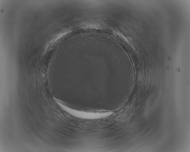 X0000080711303200701050959