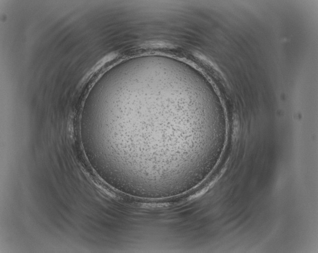 X0000080711305200701050959