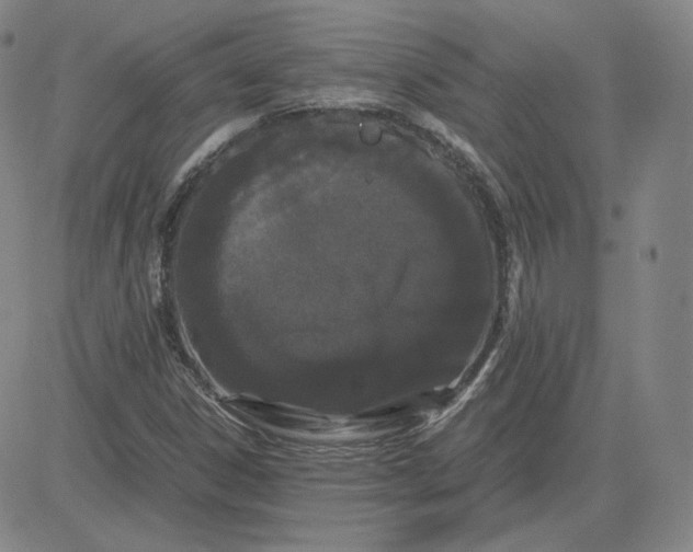 X0000080711306200701050959