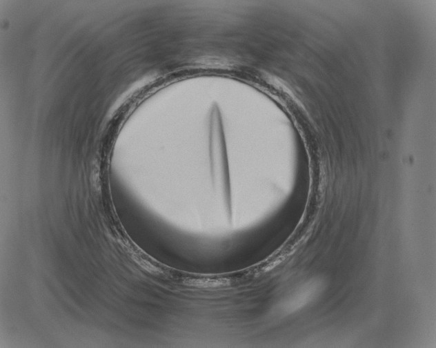 X0000080711307200701050959