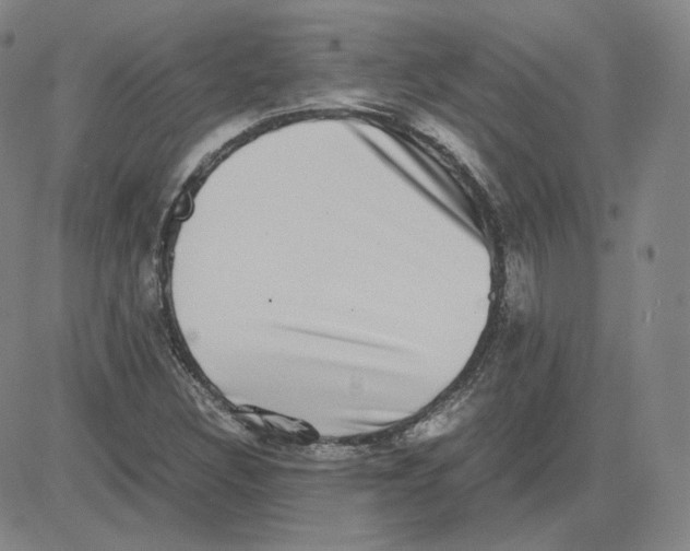 X0000080711308200701050959