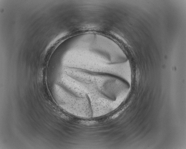 X0000080711309200701050959