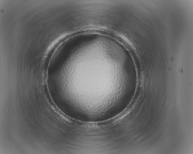 X0000080711310200701050959