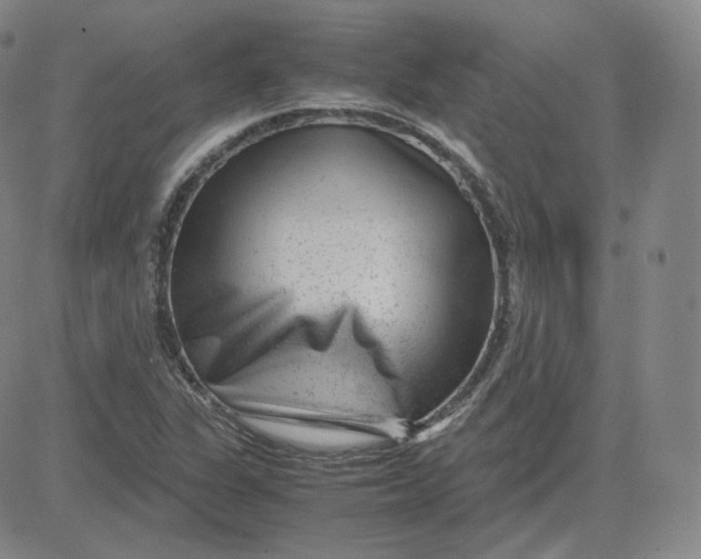 X0000080711311200701050959