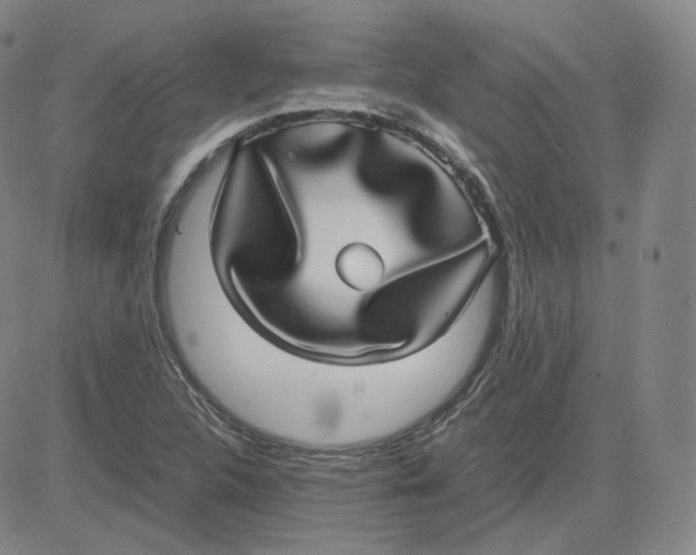 X0000080711312200701050959