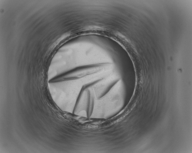 X0000080711313200701050959