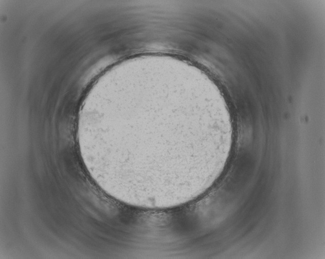 X0000080711314200701050959