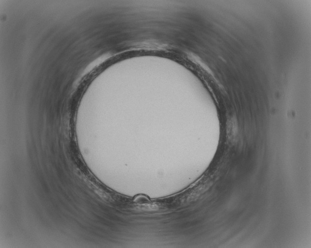 X0000080711315200701050959