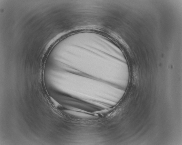 X0000080711316200701050959