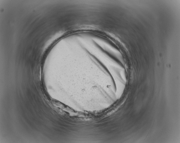 X0000080711317200701050959