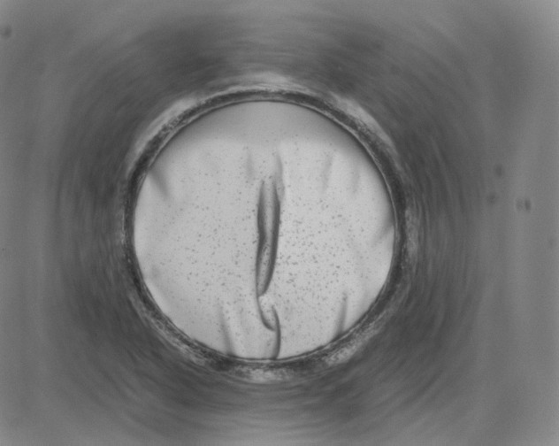 X0000080711318200701050959