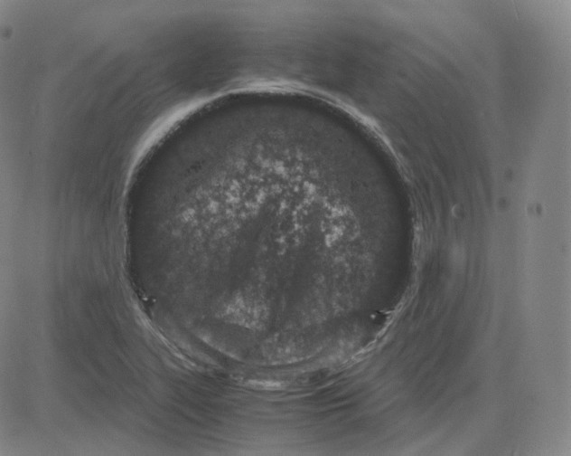 X0000080711319200701051000