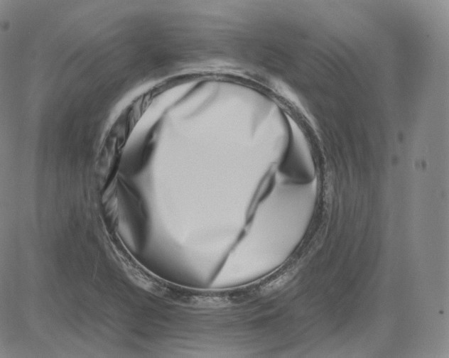 X0000080711320200701051000