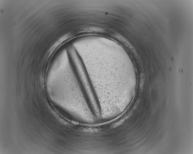 X0000080711321200701051000