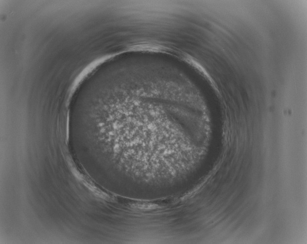 X0000080711323200701051000