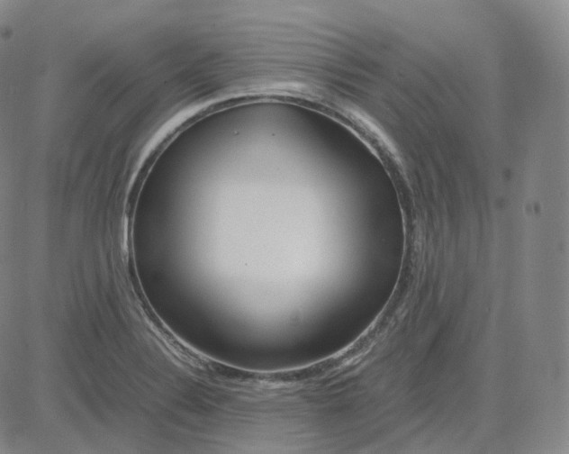 X0000080711324200701051000