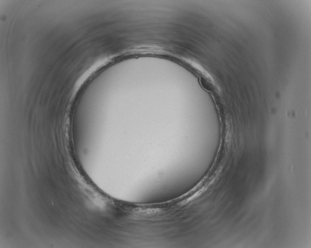 X0000080711325200701051000