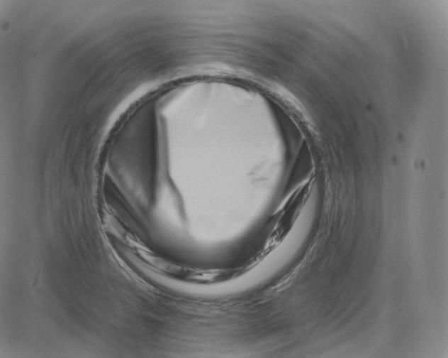 X0000080711326200701051000