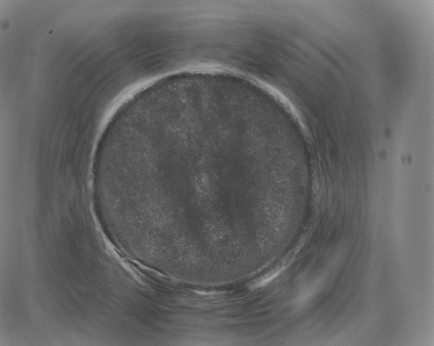 X0000080711327200701051000