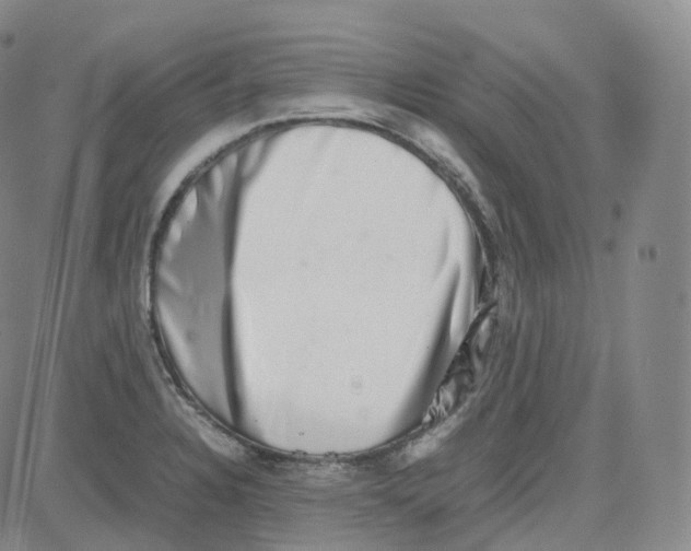 X0000080711328200701051000