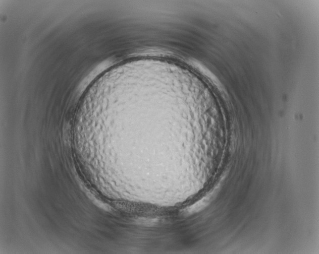 X0000080711329200701051000