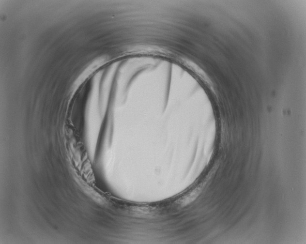 X0000080711330200701051000