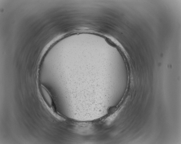 X0000080711333200701051000