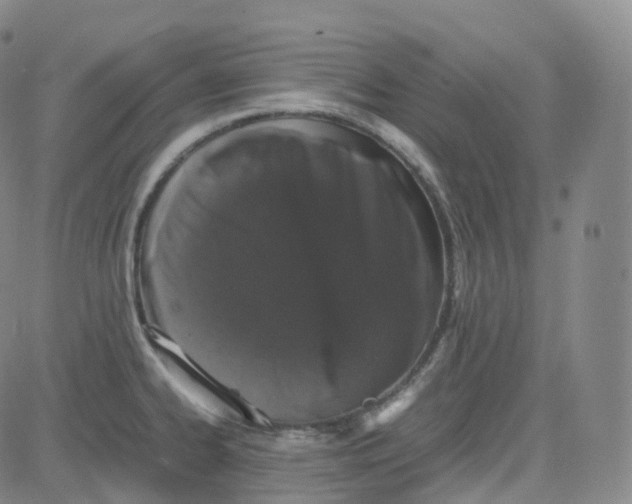 X0000080711334200701051000