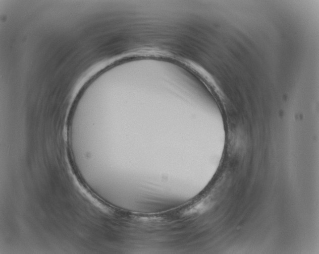 X0000080711335200701051000