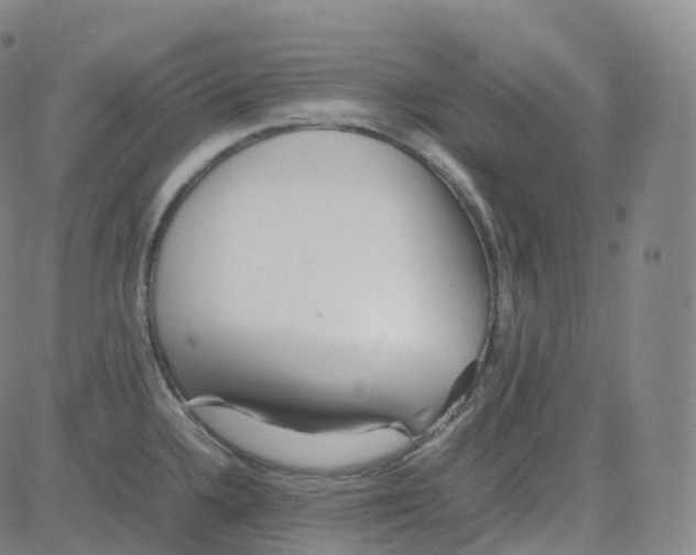 X0000080711336200701051000