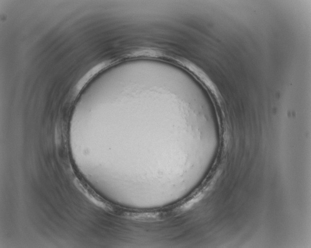 X0000080711337200701051000